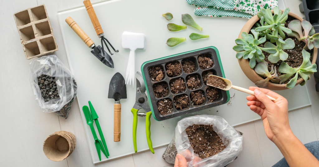 Gardening tools and supplies arranged for planting seedlings indoors.